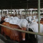 48-49 INSPIRASI_Page2_Image4