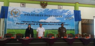 Petani Bawang Brebes Perlu Regenerasi