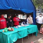 Banteng-Pemalang-Keluar-Kandang-Hadapi-Covid-19-DerapJuang