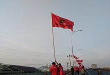 DPC PDI Perjuangan Kudus Kibarkan Ratusan Bendera Partai