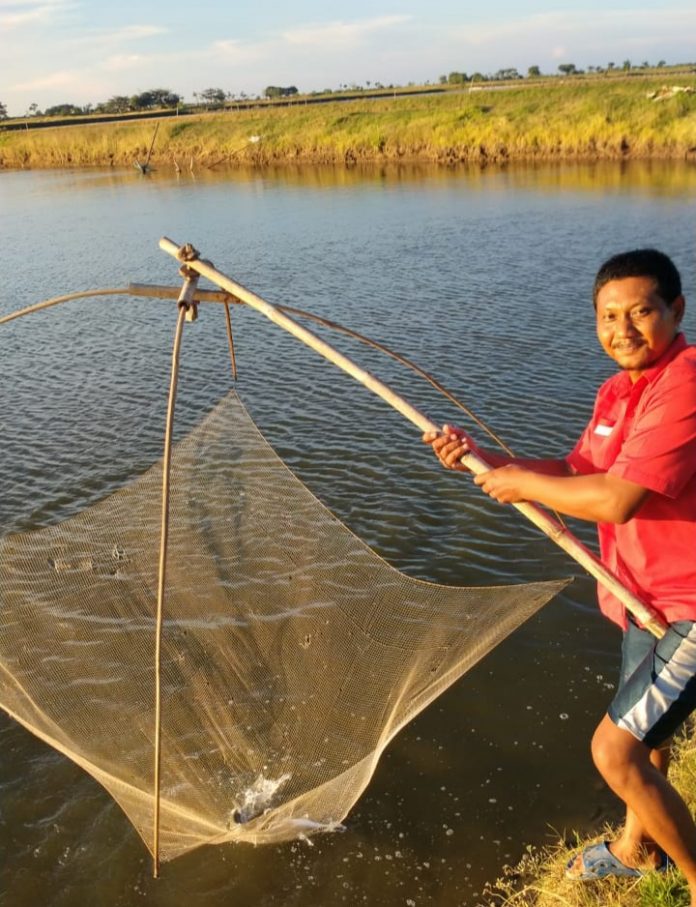 Kader Komunitas Juang Pati Berdayakan Budidaya Ika