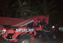 DPC PDI Perjuangan Kab.Purworejo Kibarkan 1.000 Bendera Partai