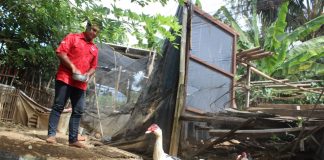 Wujudkan Ekonomi Kerakyatan, Kader Komunitas Juang Kab. Semarang Budidaya Mentok