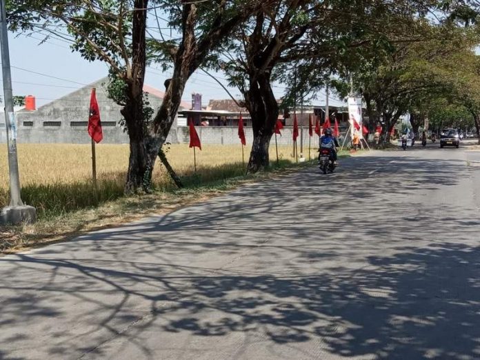 Bangun Soliditas Kader, PDI Perjuangan Blora Lakukan Pemasangan Seribu Bendera Partai