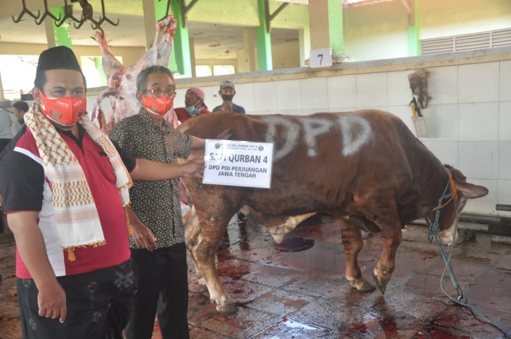 Sambut Idul Adha, DPD PDI Perjuangan Jawa Tengah Siapkan 12 Ekor Sapi