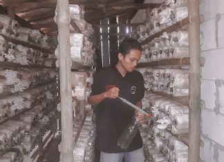 Kader PDI Perjuangan Banjarnegara Budidaya Jamur Tiram