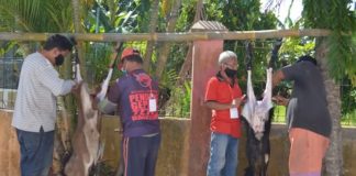 DPC PDI Perjuangan Cilacap Bagikan Daging Kurban Kepada Masyarakat