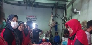 DPC PDI Perjuangan Kota Semarang Bagikan 2.000 Paket Daging Kurban