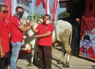 DPC PDI Perjuangan Purbalingga Rayakan Idul Adha