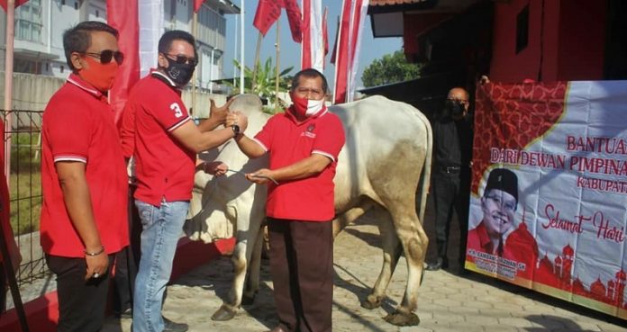 DPC PDI Perjuangan Purbalingga Rayakan Idul Adha (5)