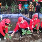 Hj. Sri Mulyani Berkebun di Desa Joho, Prambanan