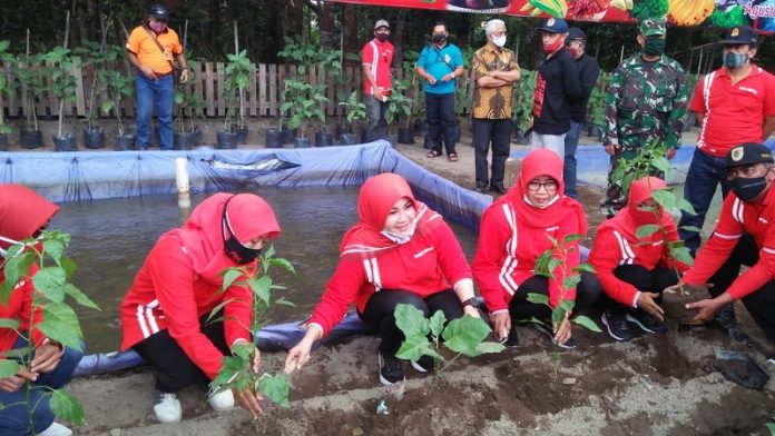 Hj. Sri Mulyani Berkebun di Desa Joho, Prambanan