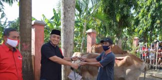 DPC PDI Perjuangan Kabupaten Cilacap Bagikan Daging Kurban Kepada Masyarakat