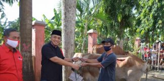 Bagikan Daging Kurban kepada Masyarakat | DPC PDI Perjuangan Kabupaten Cilacap