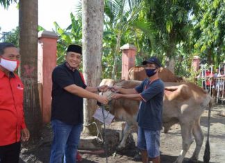 Bagikan Daging Kurban kepada Masyarakat | DPC PDI Perjuangan Kabupaten Cilacap