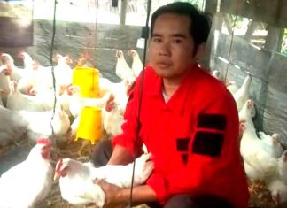 Kepekaan Haris Membaca Peluang Usaha, Bawa Angin Segar Bagi Perekonomian Masyarakat