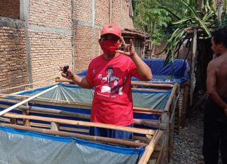 Ketua Ranting Jatilor Tekuni Usaha Ternak Lele