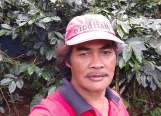 Kopi Arabica Milik Kader PDI Perjuangan Banjarnegara Pernah Juarai Festival Kopi Nusantara