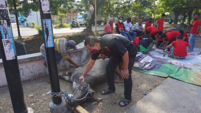 PDI Perjuangan Kudus