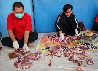 Perkuat Persatuan Kader, Gibran-Teguh Hadiri Penyembelihan Hewan Kurban di PAC PDI Perjuangan Pasar Kliwon