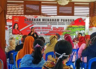 Gerakan Menanam Pangan, Vita Ervina Bantu 150 Juta Untuk Ketahanan Pangan Keluarga