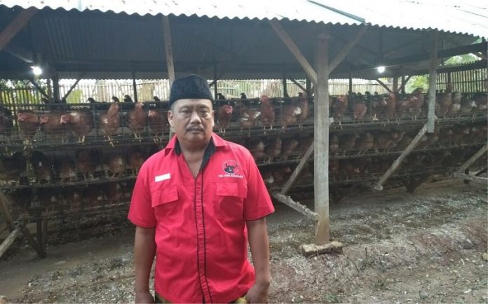 Wakil Ketua PAC Gembong Tekuni Usaha Ternak Ayam Petelur