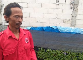 Budidaya 4.500 Ikan Kutuk, Wujud Kemandirian Ekonomi Sudarmono