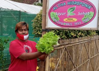 Kader Banteng Binangun Budidaya Selada Hidroponik