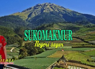 Agrowisata Sayuran Majalengkanya Magelang