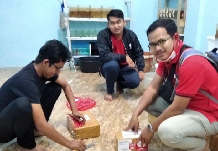 Hendri Gunawan Manfaatkan Peluang Usaha Ikan Cupang