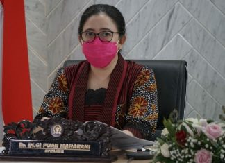 Puan Minta Pemerintah Kedepankan Diplomasi Damai di Intan Jaya