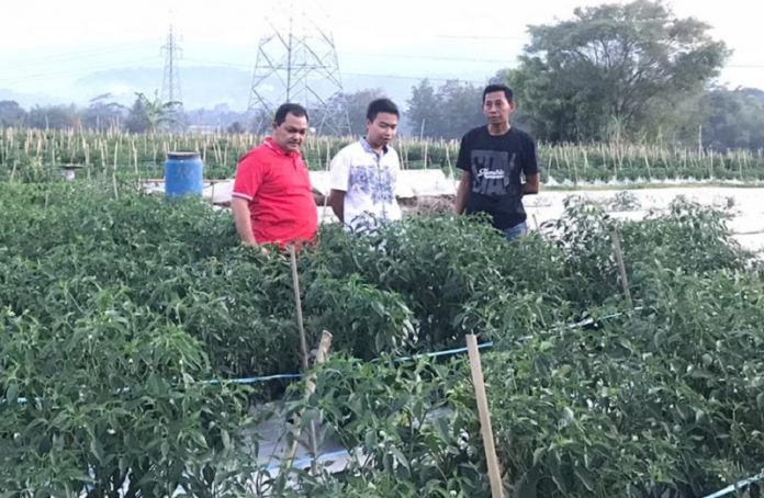 Ngesti Nugraha Akan Fungsikan Eks Mulyorejo