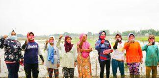 Sri Sumarni Serap Aspirasi Petani Grobogan Langsung di Sawah