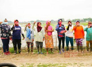 Sri Sumarni Serap Aspirasi Petani Grobogan Langsung di Sawah