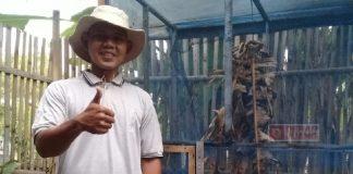 Ternak Magot Kader Komunitas Juang Kabupaten Magelang