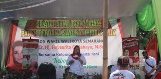 Mbak Ita Hadiri Panen Perdana Sayur Hidroponik di Salaman Mloyo