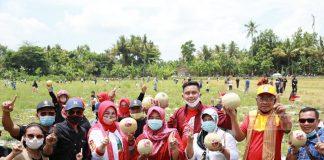 Semangat DPC dan Kader PDI Perjuangan Klaten Panen Raya Buah Melon