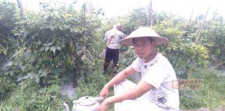 Indra Promosikan Wisata Magelang Melalui Lagu