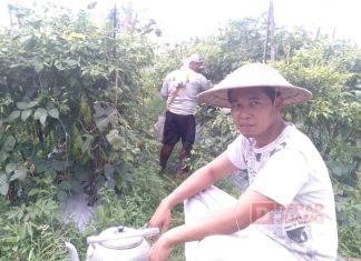 Indra Promosikan Wisata Magelang Melalui Lagu