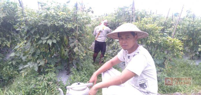 Indra Promosikan Wisata Magelang Melalui Lagu