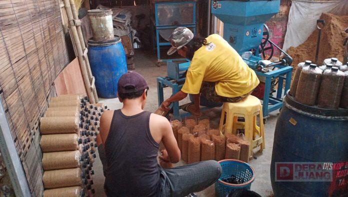 Menilik Proses Budidaya Jamur Milik Satgas PDI Perjuangan Kota Tegal