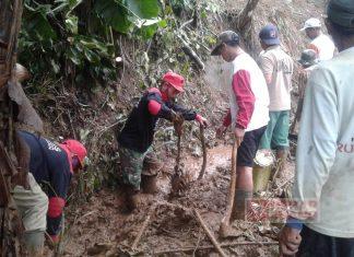 SATGAS Juang NKRI PDI Perjuangan Brebes Gotong Royong dengan Masyarakat