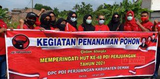 Aktualisasi Politik Lingkungan, Kader Banteng Kota Wali Tanam Ribuan Pohon