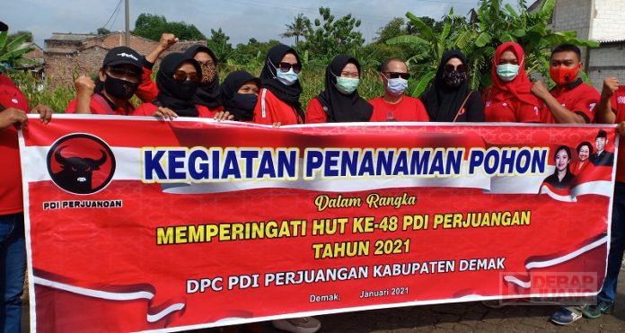 Aktualisasi Politik Lingkungan, Kader Banteng Kota Wali Tanam Ribuan Pohon