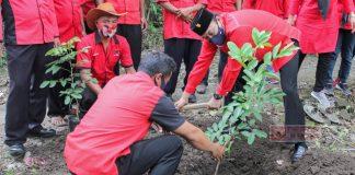 DPC PDI Perjuangan Karanganyar Tanam Seribu Pohon