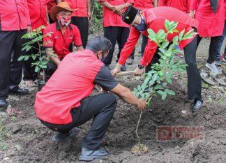 DPC PDI Perjuangan Karanganyar Tanam Seribu Pohon