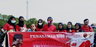 DPC PDI Perjuangan Kota Pekalongan Tanam 1.000 Pohon