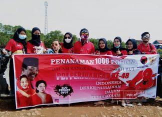 DPC PDI Perjuangan Kota Pekalongan Tanam 1.000 Pohon