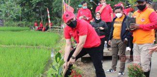 HUT Ibu Megawati Soekarnoputri, DPC PDI Perjuangan Kabupaten Karanganyar Berikan Kado Istimewa