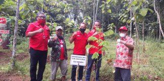 Hijaukan Bumi, DPC PDI Perjuangan Kabupaten Banyumas Gelar Gerakan Menanam Pohon